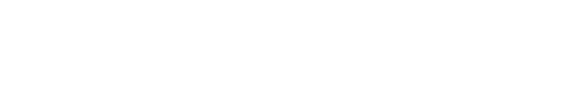BuzdarWP